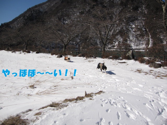 2012-02-11 雪遊び2012 006.jpg-1.jpg