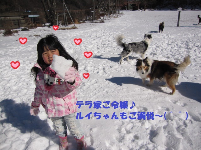 2012-02-11 雪遊び2012 007.jpg-1.jpg
