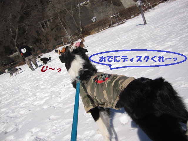 2012-02-11 雪遊び2012 011.jpg-1.jpg