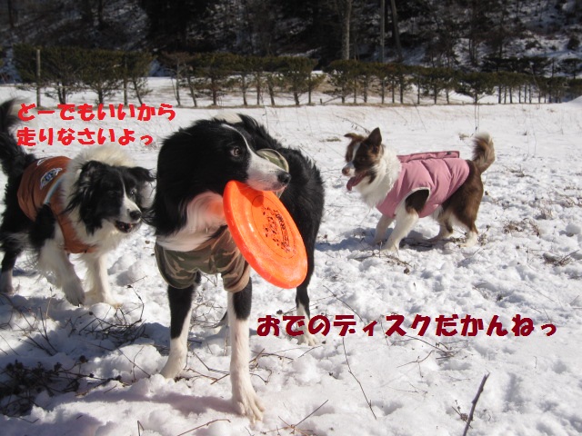 2012-02-11 雪遊び2012 019.jpg-1.jpg
