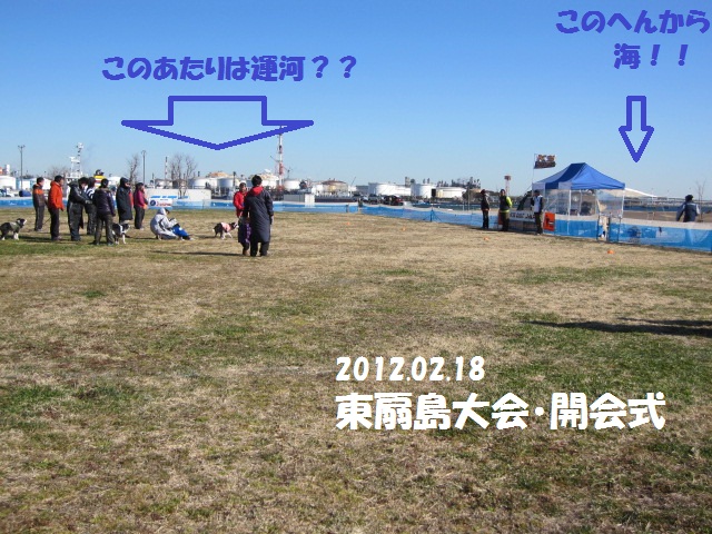 2012-02-18 K9東扇島1日目 003.jpg-1.jpg